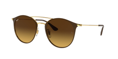 Brown (900985)