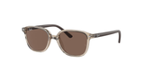 Transparent Brown (711173) / 45