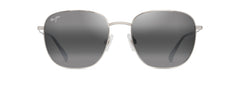 Shiny Silver with Black (657-17A)