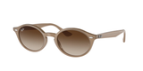 Turtledove (616613) / 51