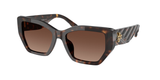 Dark Tortoise (1728T5) / 53
