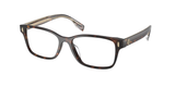 Dark Tortoise (1728) / 53