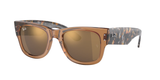 Transparent Brown (663693) / 51