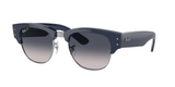 Blue On Silver (136678) / 53