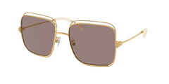 Shiny Gold (33437N)