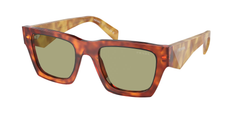 Cognac Tortoise (11P60C)