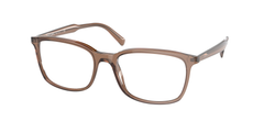 Brown/Light Brown (09F1O1)
