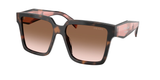 Mauve Tortoise (23A0A6) / 57