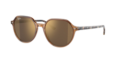 Transparent Brown (663693)