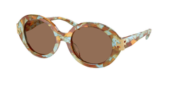 Blue Honey Tortoise (201773)