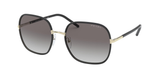 Pale Gold/Black (AAV0A7) / 58