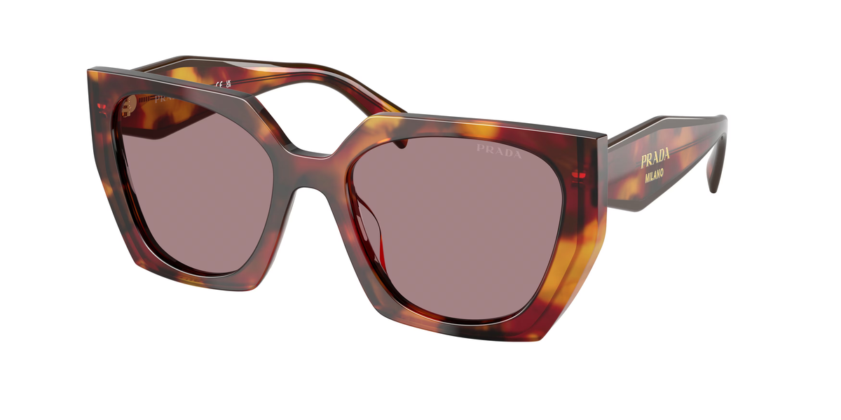 Prada Pr 15Ws – Havana (22A20I) / 54 Sunglasses Frame