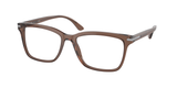 Brown Transparent (17O1O1) / 56