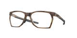 Satin Brown Tortoise (805903) / 55