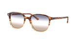 Tortoise (1328GD) / 53