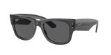 Transparent Black (1406B1) / 51