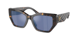 Brown Tortoise (19441U) / 53