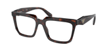 Root Tortoise (17N1O1) / 54