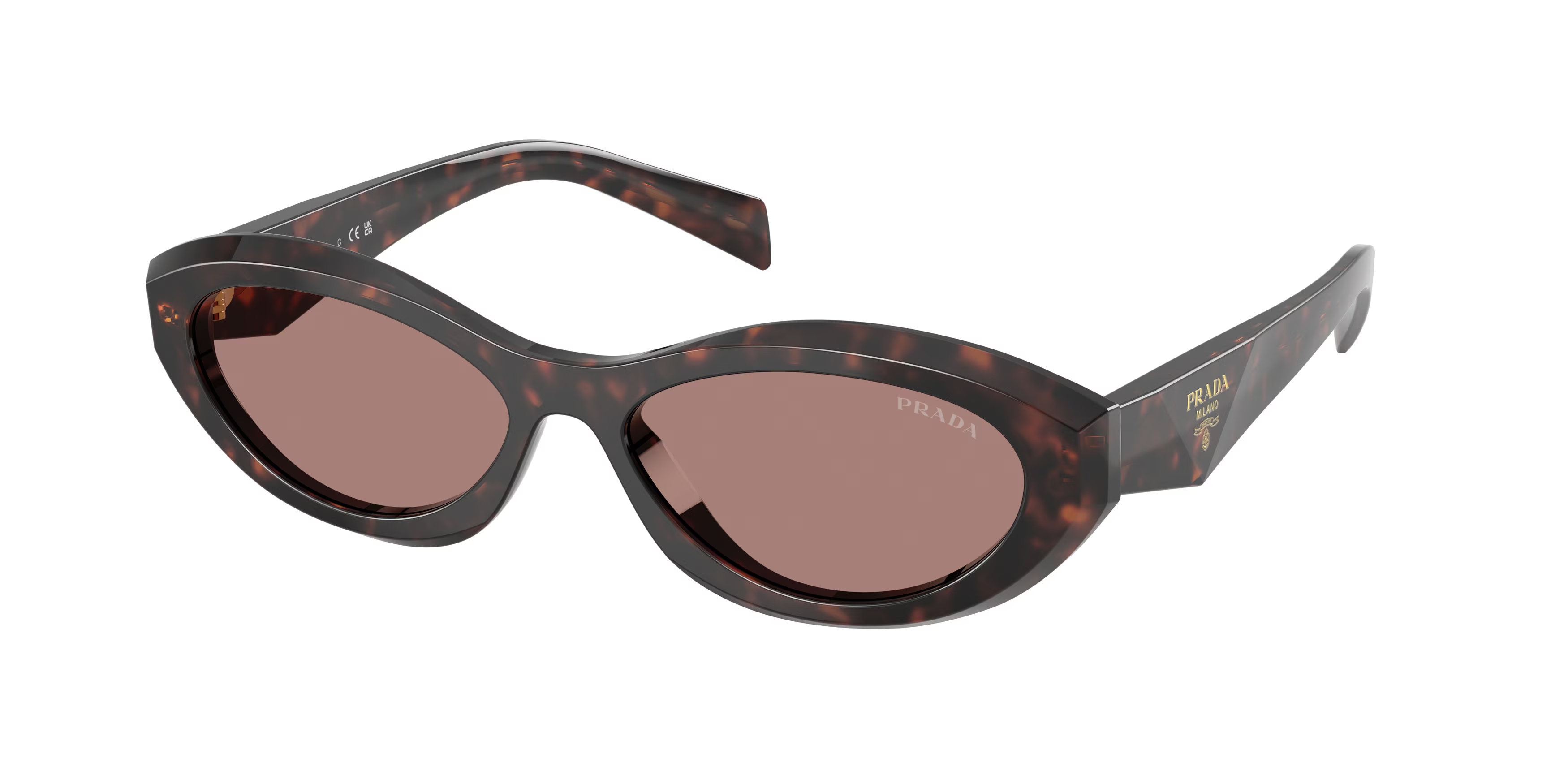 Root Tortoise (17N60B) / 56