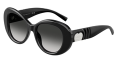 Black (80013C)