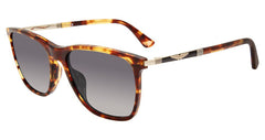 Tortoise (SPLD45 5608XW)