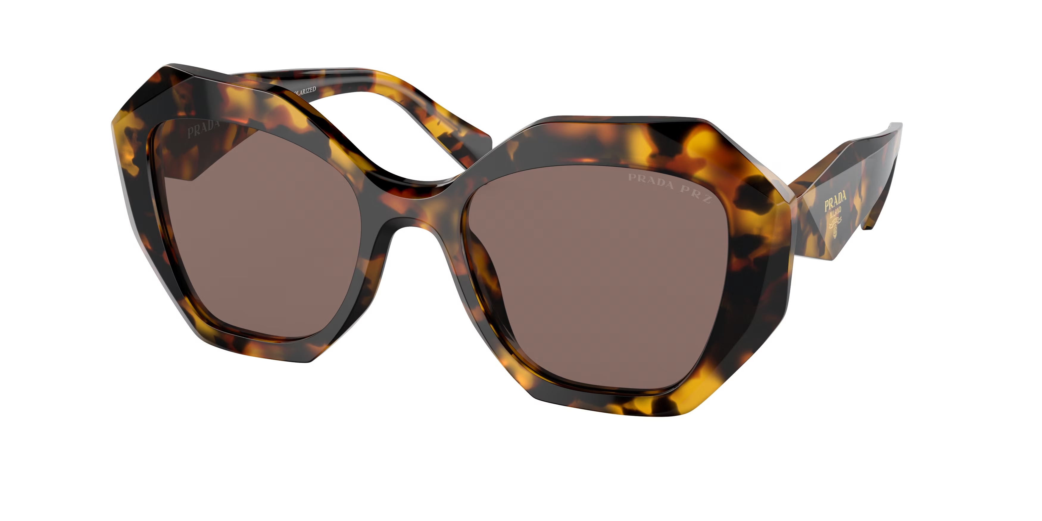 Honey Tortoise (VAU05C)