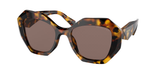 Honey Tortoise (VAU05C) / 53