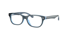 3667 (Blue)
