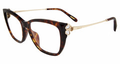 Classic Havana (VCH368V550909)