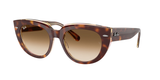 Light Havana On Transparent Multicolor (141451) / 52