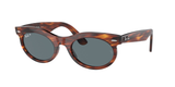 Striped Havana (954/3R) / 53