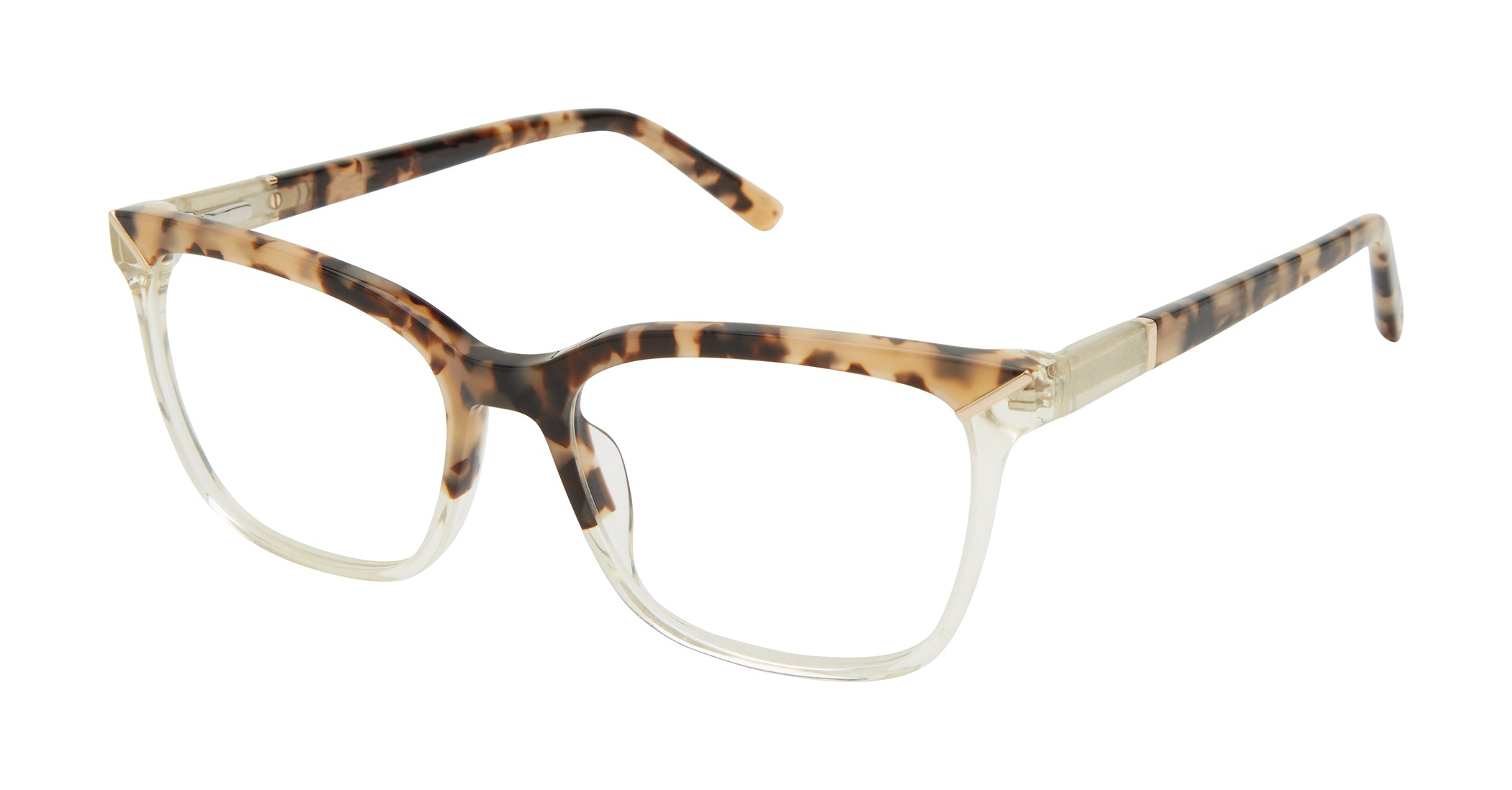 Tortoise / Champagne (764724839109) / 53