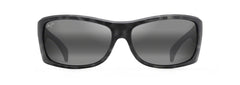 Grey Tortoise (848-11)