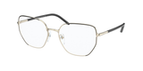 Black/Pale Gold (AAV1O1) / 55
