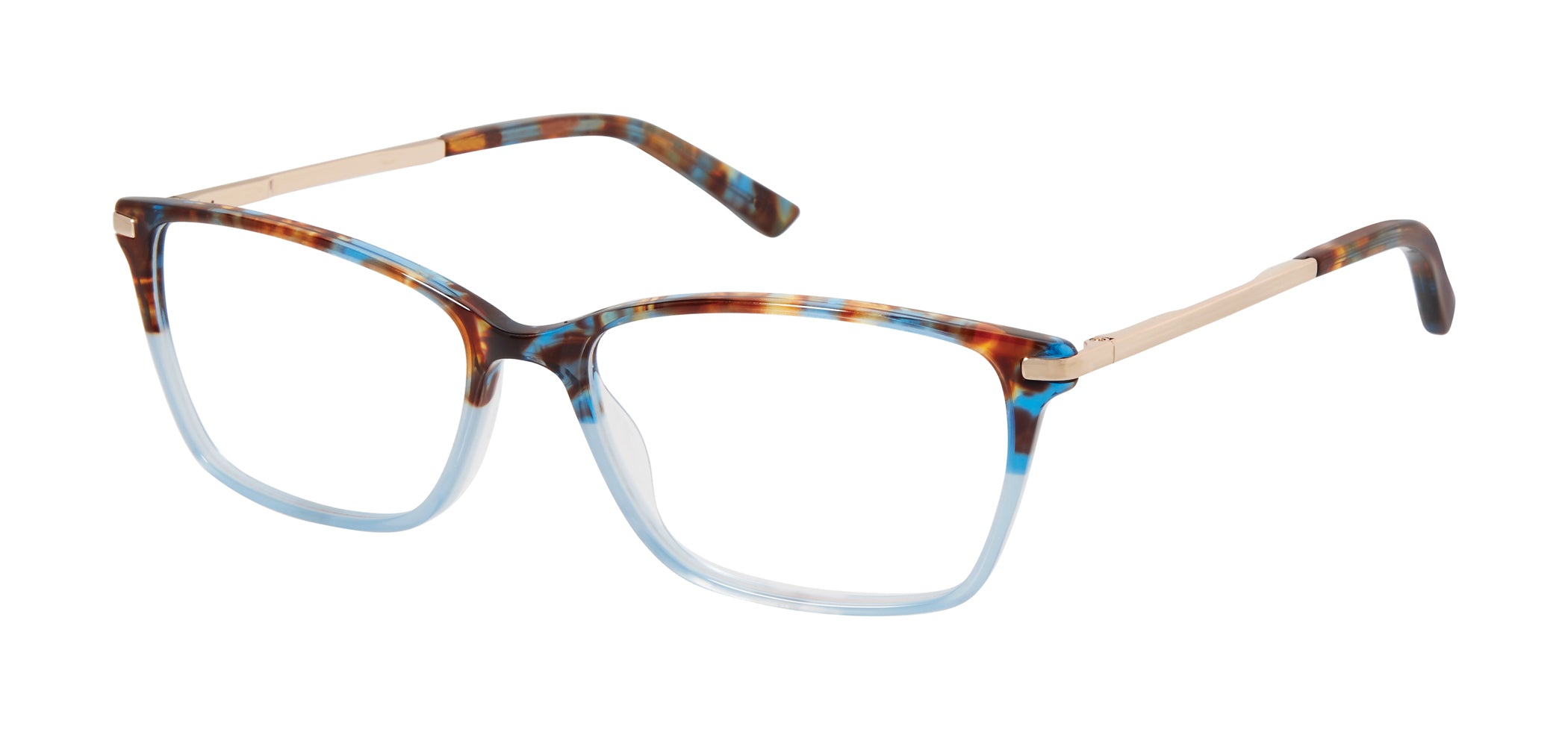 Blue Tortoise (764724770877) / 55