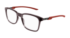Brown (003)