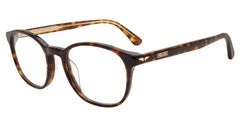 Tortoise (VPLD04 510722)