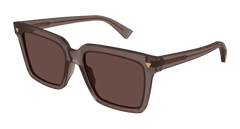 Brown (003)