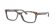 Grey & Brown Havana (8173)