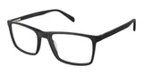 Sf (M300) / 54
