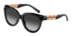 Black (80013C)