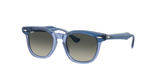 Top Violet On Transparent Violet (715911) / 45