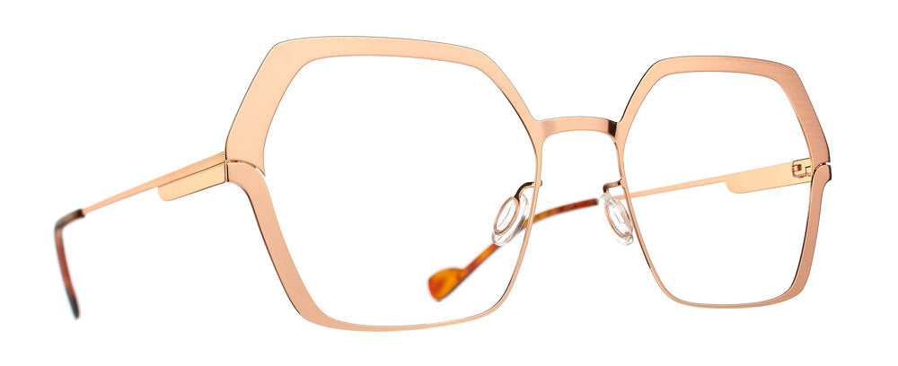 253 Rose Gold Tortoise Shell (2100850253) / 53