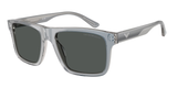 Iridescent Grey (617787) / 57