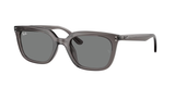 Transparent Grey (667587) / 54