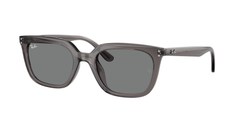 667587 (Grey)