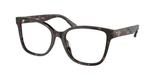 Dark Tortoise (1728) / 55