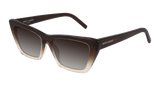 Brown (019) / 53