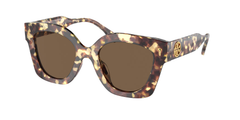 Vintage Tortoise (199573)