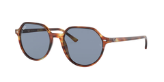 Striped Havana (954/62)